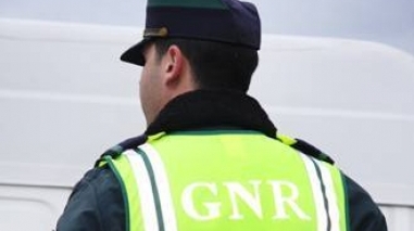 GNR identica suspeitos de caça ilegal em Ferreira do Alentejo