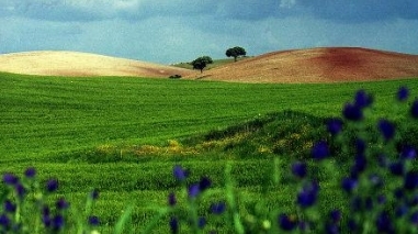 Alentejo aposta na gastronomia e nos vinhos em 2011