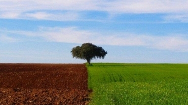 Alentejo em "for&ccedil;a" na Bolsa de Turismo de Lisboa 2011