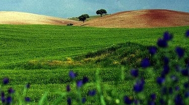 Alentejo: Operador de Beja aposta forte no pão e no vinho para atrair turistas