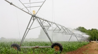 Plataforma Comercial de Produtos Agr&iacute;colas avan&ccedil;a em Ferreira do Alentejo e Aljustrel