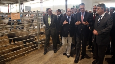 ACOS exige “uma resposta nacional” para a agricultura alentejana