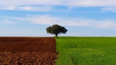 Dormidas tur&iacute;sticas no Alentejo subiram 11