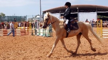 Santiagro decorre este fim-de-semana e espera de 60 mil visitantes