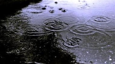 Forte chuvada  caiu  no concelho de Ferreira do Alentejo