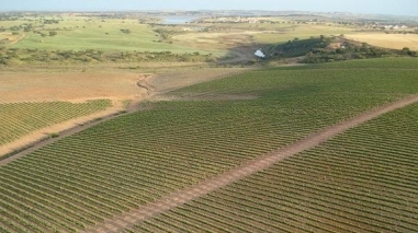 Turistas brasileiros de visita ao Alentejo aumentaram 35% no &uacute;ltimo ano