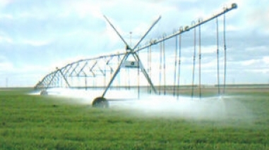 Ferreira do Alentejo: Azeite &eacute; tema forte na Feira da &Aacute;gua e do Regadio