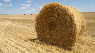 Censos 2011 revelam perda de popula&ccedil;&atilde;o no distrito de Beja