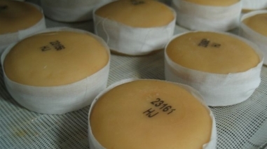Serpa &eacute; a "capital do queijo alentejano" durante o fim-de-semana