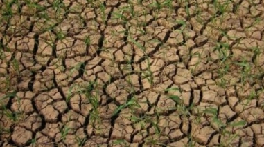 Seca: Instituto de Meteorologia prev&ecirc; dias de sol at&eacute; 3 de Mar&ccedil;o