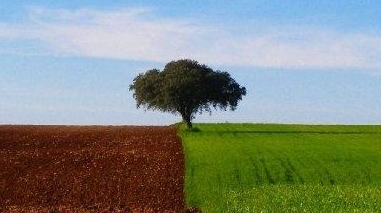 Semin&aacute;rio debate em Beja a “quadratura do desenvolvimento” do Alentejo
