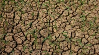 Relatório garante que actual período de seca é menos grave que em 2005