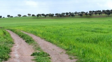 Dirigentes associativos fazem "raio X" &agrave; agricultura do Baixo Alentejo