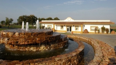 Grupo Vila Gal&eacute; lan&ccedil;a-se no sector agro-pecu&aacute;rio a partir de Albernoa (Beja)