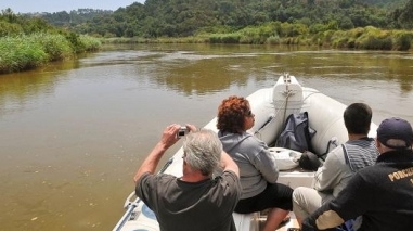 C&acirc;mara de Odemira promove passeios regulares no Rio Mira durante o Ver&atilde;o