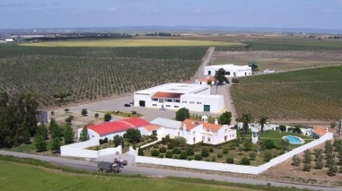 Filipe Sevinate Pinto &eacute; o novo en&oacute;logo da Herdade do Monte Novo e Figueirinha