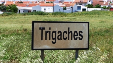 C&acirc;mara de Beja promove "Semana Aberta" em Trigaches e S&atilde;o Brissos