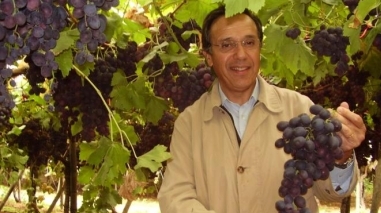 Herdade Vale da Rosa quer exportar mais uvas de mesa em 2012