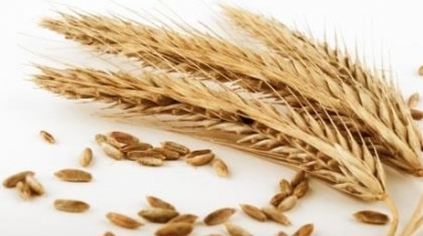 Governo conta lan&ccedil;ar novo concurso do Proder durante o m&ecirc;s de Setembro