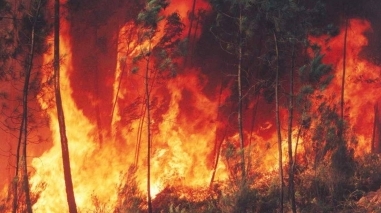 Risco elevado de incêndio coloca distrito de Beja em alerta Amarelo até dia 13