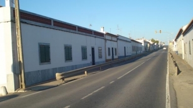 "VIII Semana Aberta" da C&acirc;mara de Beja na freguesia de Beringel