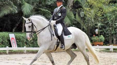 Gala Ib&eacute;rica Equestre anima Serpa ao longo do fim-de-semana