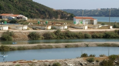 Deputado do PSD defende projecto de aquacultura em Milfontes