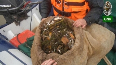 GNR realiza opera&ccedil;&atilde;o de combate &agrave; pesca ilegal na ribeira do Vasc&atilde;o (Almod&ocirc;var)