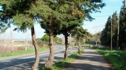 Requalificação da ciclovia