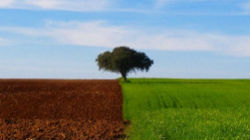Turismo do Alentejo promove vendas