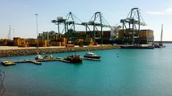 Dubai Port World estuda