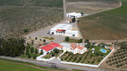 Vinhos Cameirinha premiados