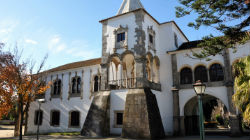 Visitas guiadas celebram os
