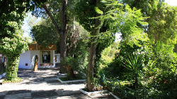 Câmara de Aljustrel compra