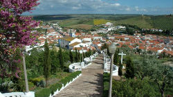 Câmara de Aljustrel promove