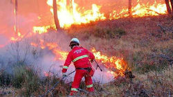 Bombeiros controlam