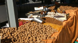 Feira tradicional anima