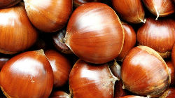 Produção de castanha