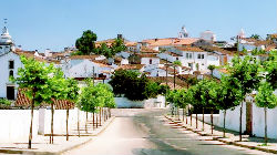 Sousel vai ter centro