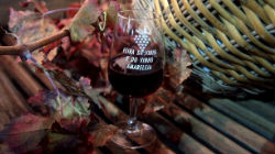 Feira do Vinho e da