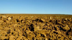 Agricultores jovens preocupam