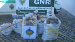 Cinco romenos detidos pela