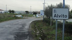 Câmara de Alvito arranja