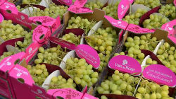 Cadeia Marks & Spencer