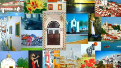 Exposição de Inês Dourado