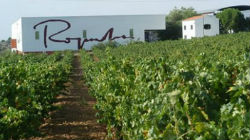 Vinhos Roquevale fazem