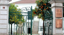Dia dos Museus celebrado