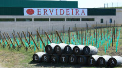 Vinho da Ervideira