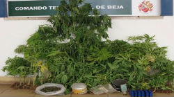 GNR prende suspeito