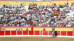 Cidade de Beja recebe